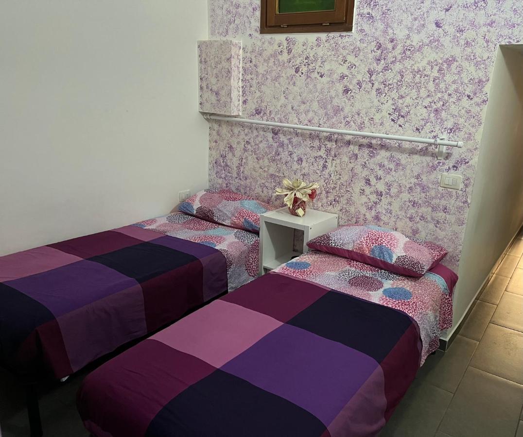 Violet 27 *