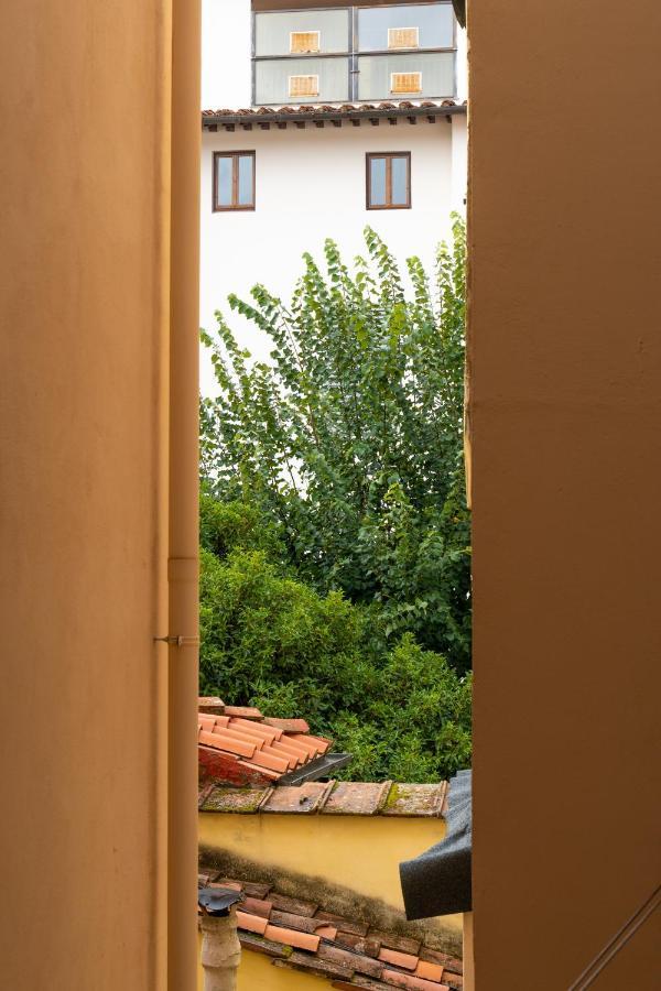 Accademia - Flo *