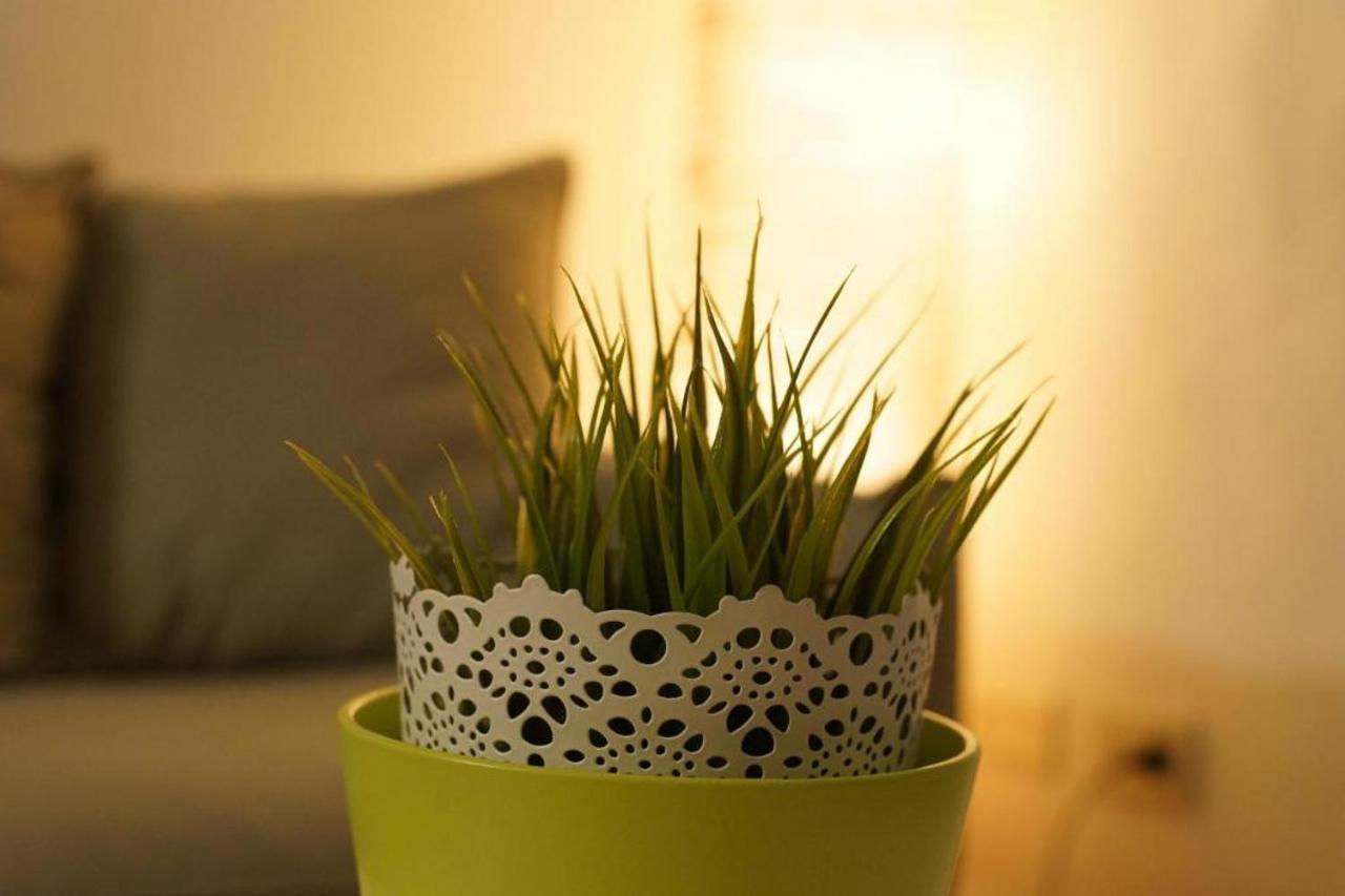 Guest house Condotta3rooms Florence