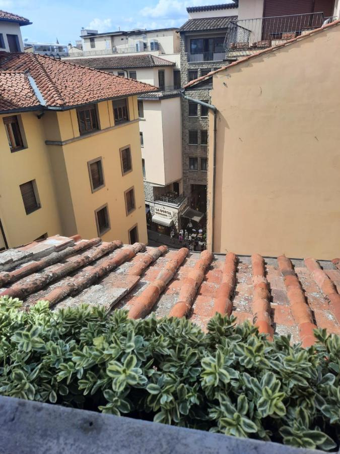Domus Palanti * Florence