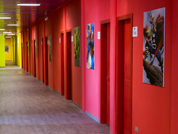 Hostel Wow Florence
