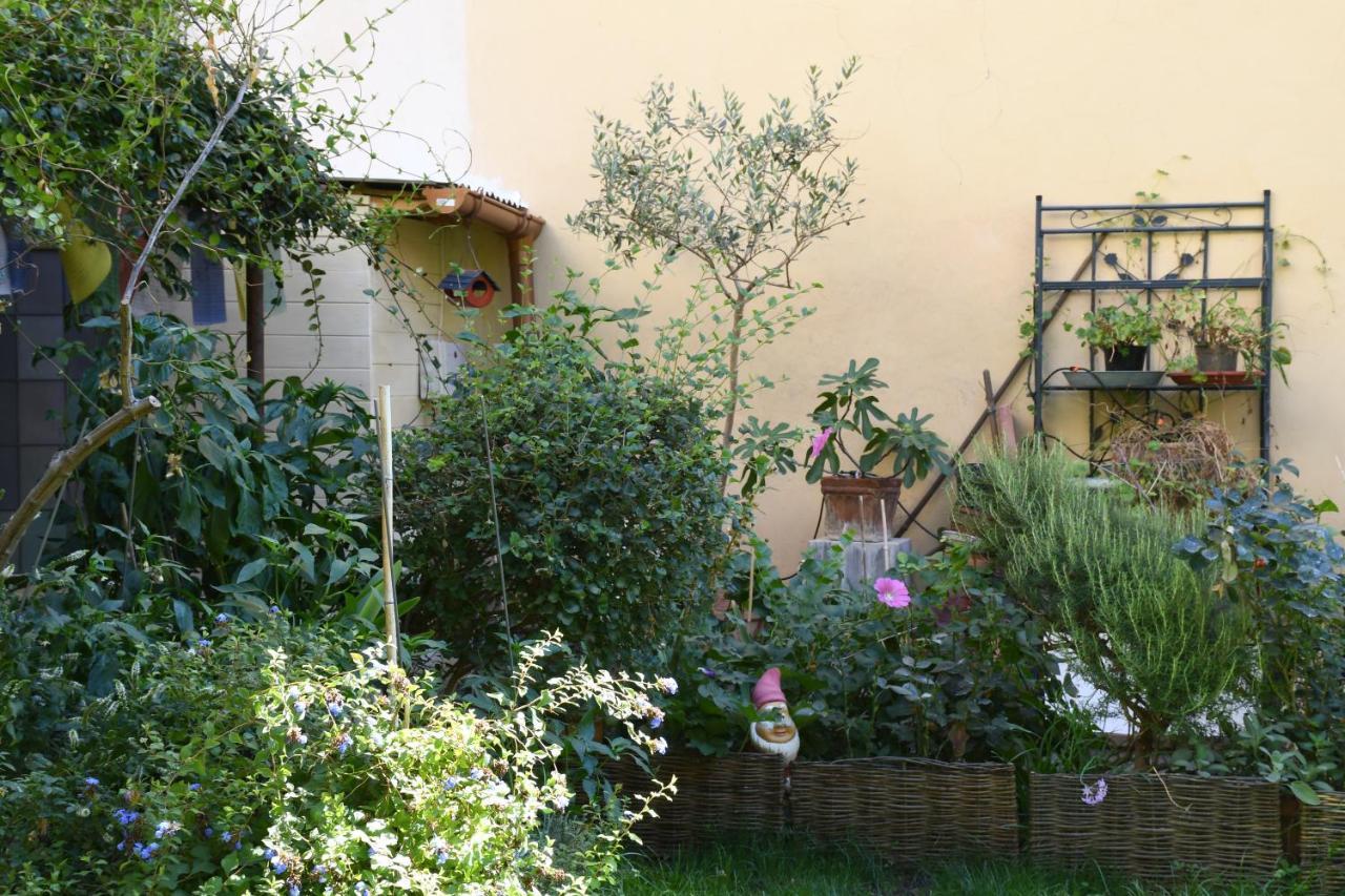 Casa Gori