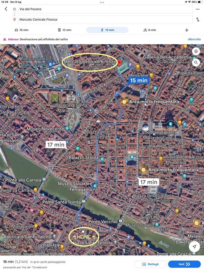 Uffizi & Santo Spirito Family/groups Apartment