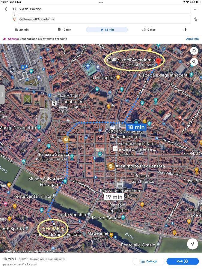 Apartment Uffizi & Santo Spirito Family/groups *