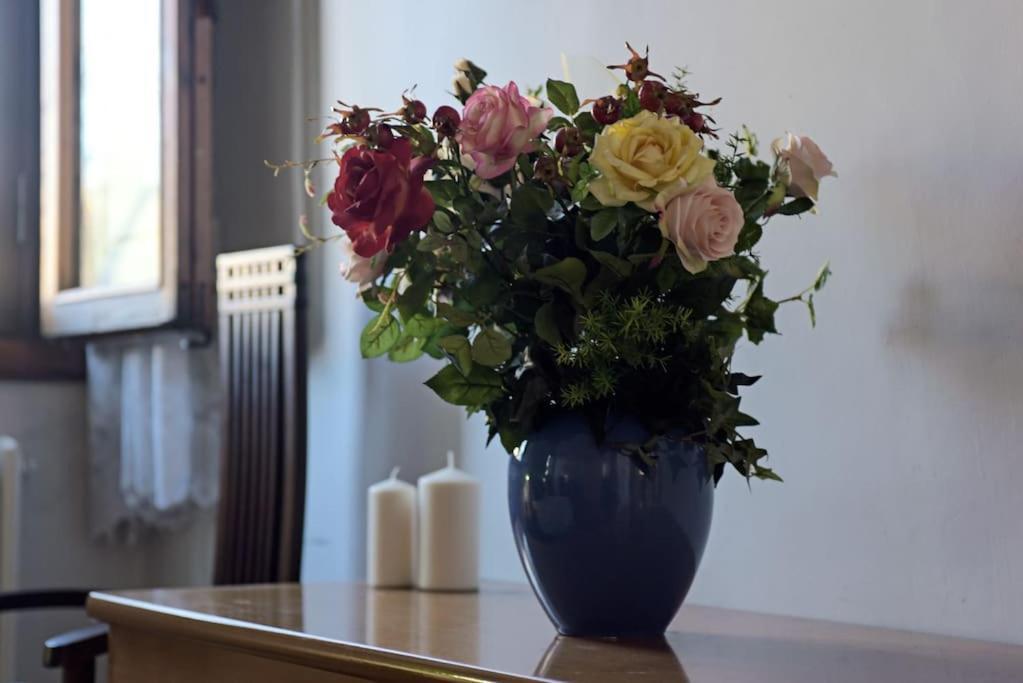 Appartamento Cozy With Private Garden - City Center - *