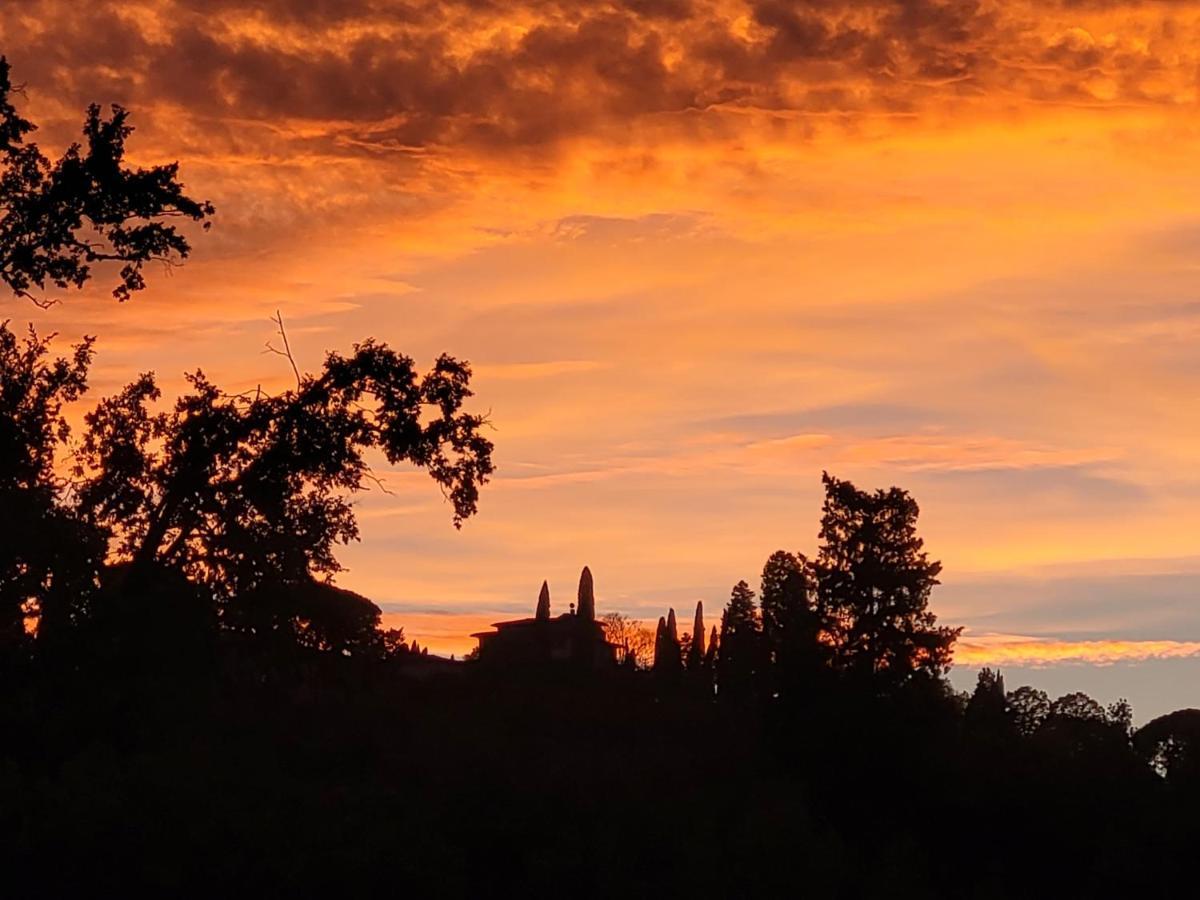 Vista Su Giardini Storici In Oltrarno *