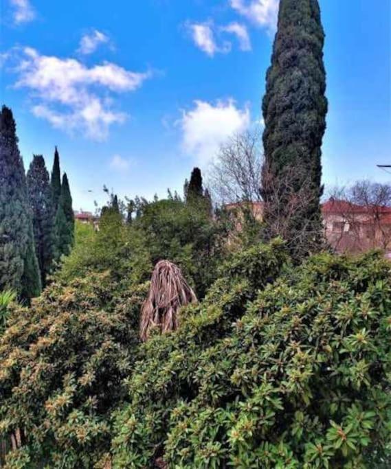 Casa Raffaello Careggi Apartment Florence