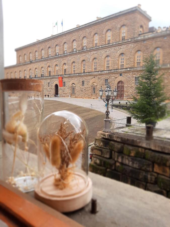 Piazza Pitti View Florence