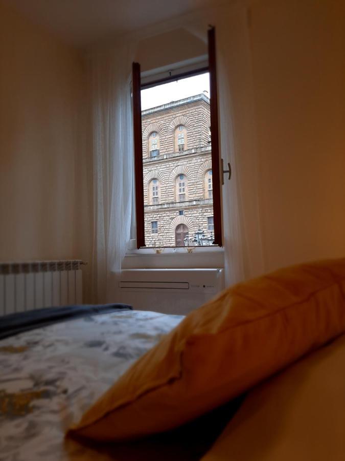 Apartment Piazza Pitti View *