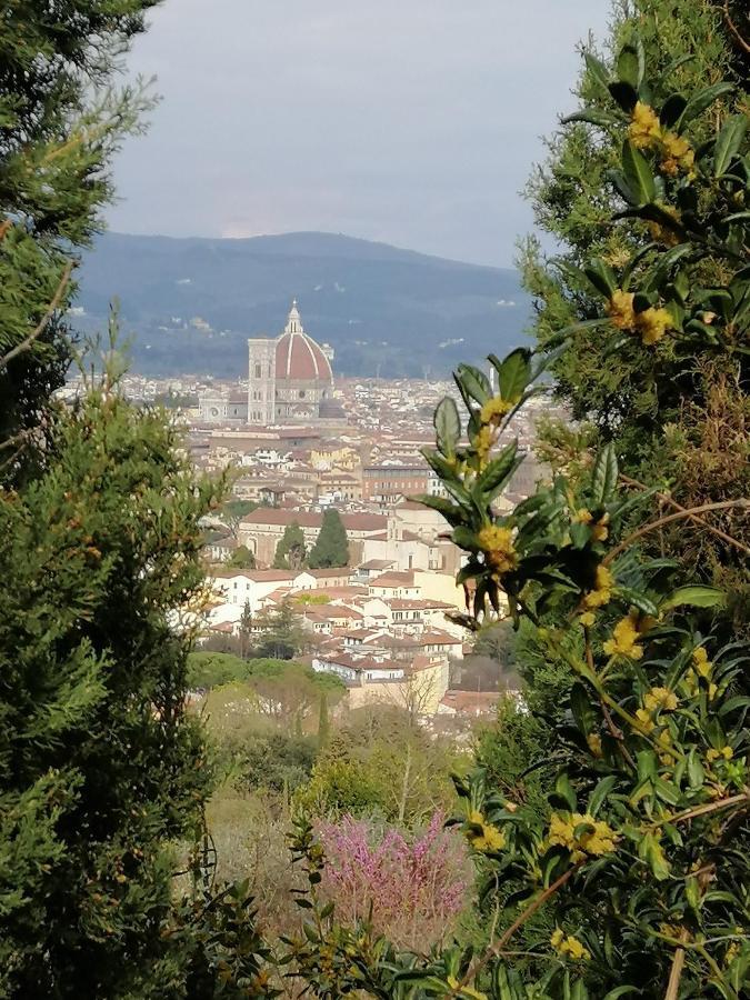 Appartamento Pitti Loft Firenze