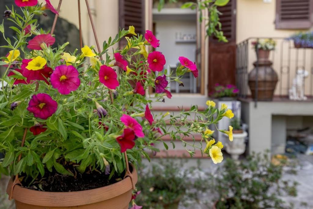 Loft Ortensia Garden Wifi Air Conditioning