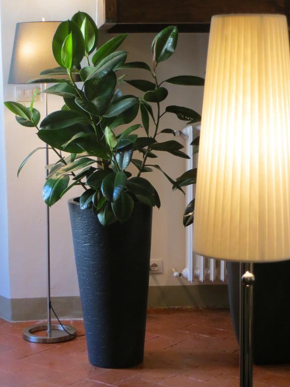 Toscanelli Residenza D'epoca 3* Florence