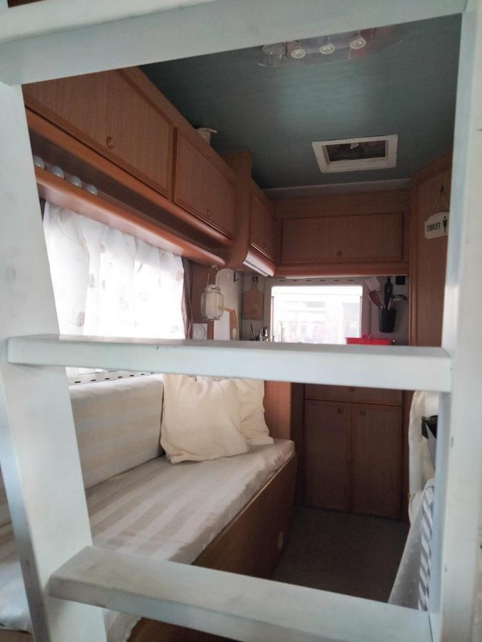 In The Camper Campsite *