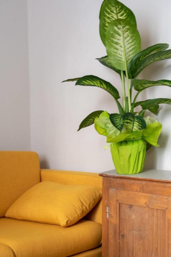 Appartamento San Zanobi Family In *