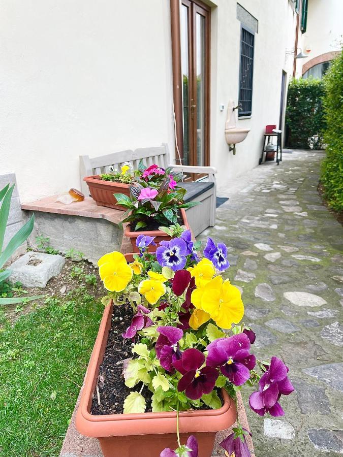 Apartment Dalu Davide - Private Car Park 15 Minutes To The Center
