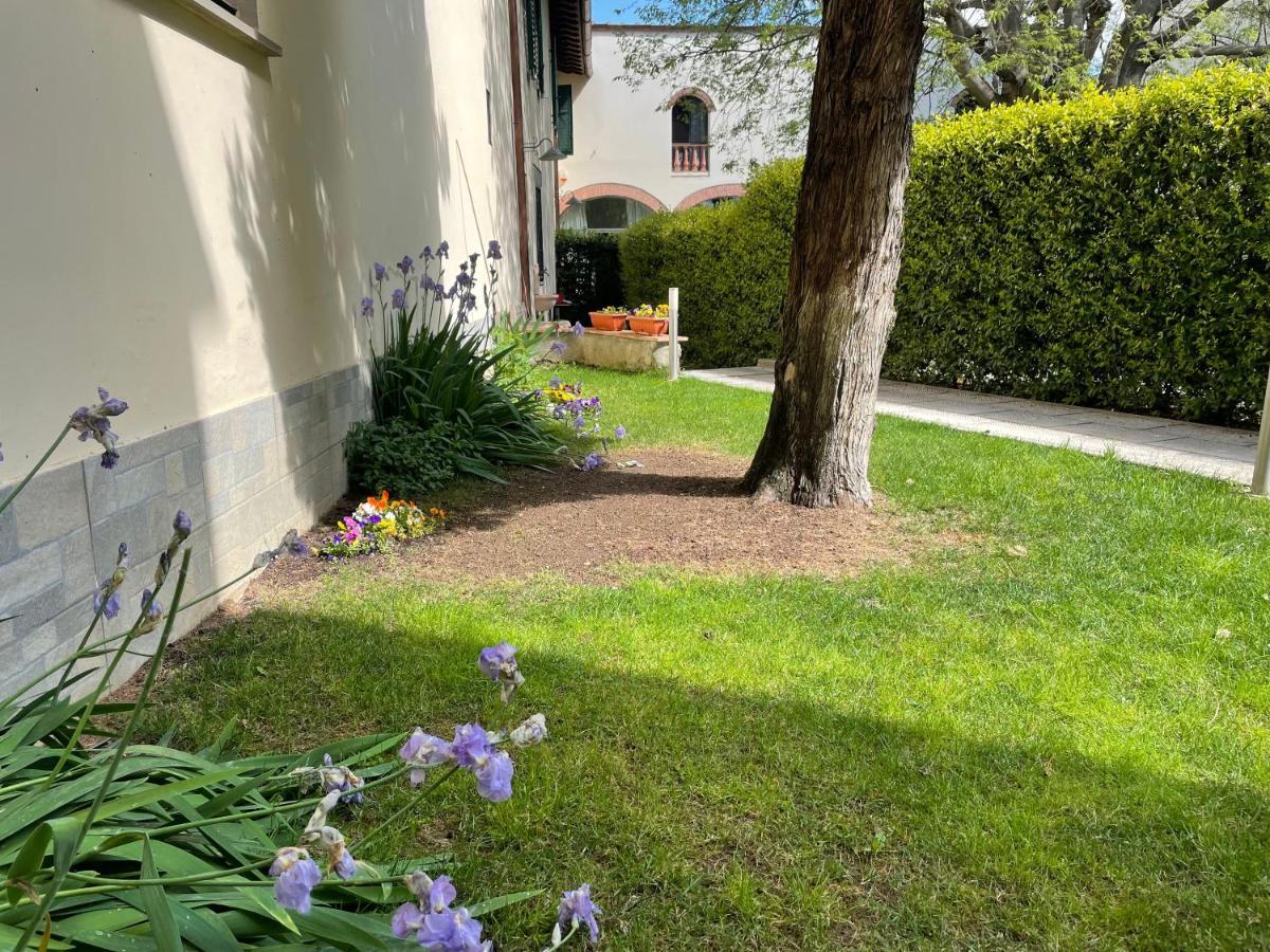 Dalu Lucilla - Private Car Park 15 Minutes To The Center * Florence
