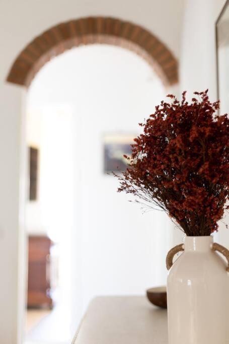 Luxury In The Center Of Firenze
