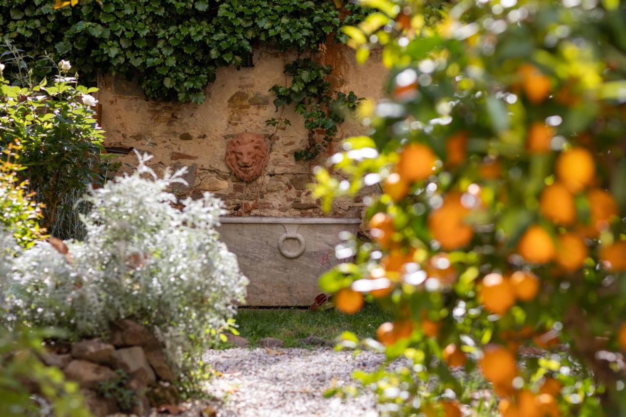 Bed & Breakfast Secret Garden Florence