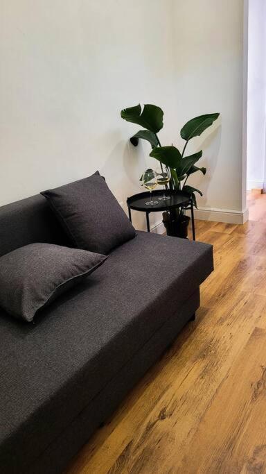 Apartment Aretina Florence