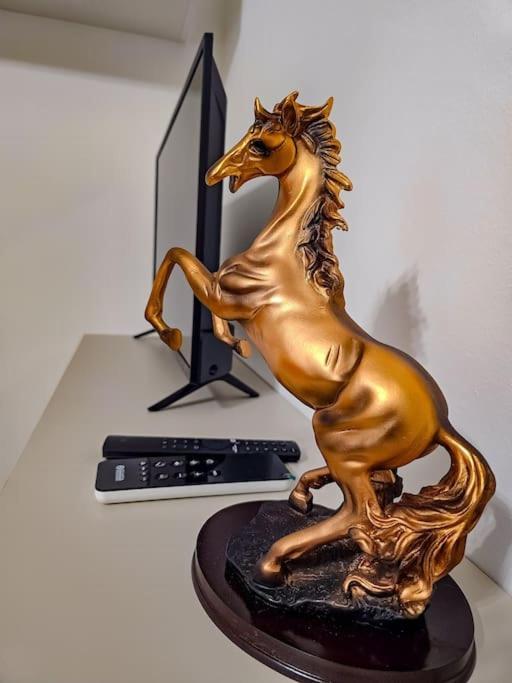 Bravo Horse Modern In Apartment *