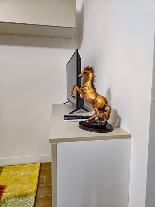 Apartment Bravo Horse Modern In Florence