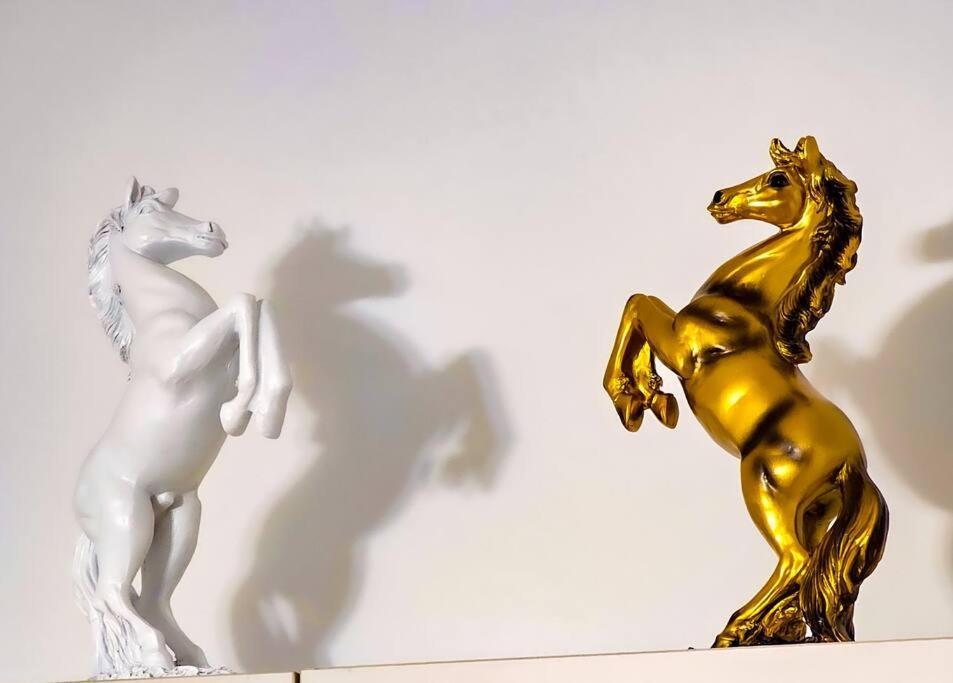 Apartment Bravo Horse Modern In Florence