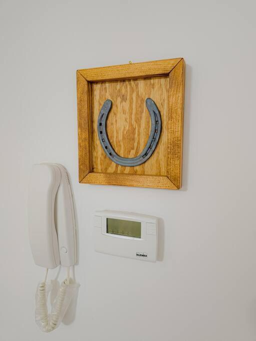 Apartment Bravo Horse Modern In Florence