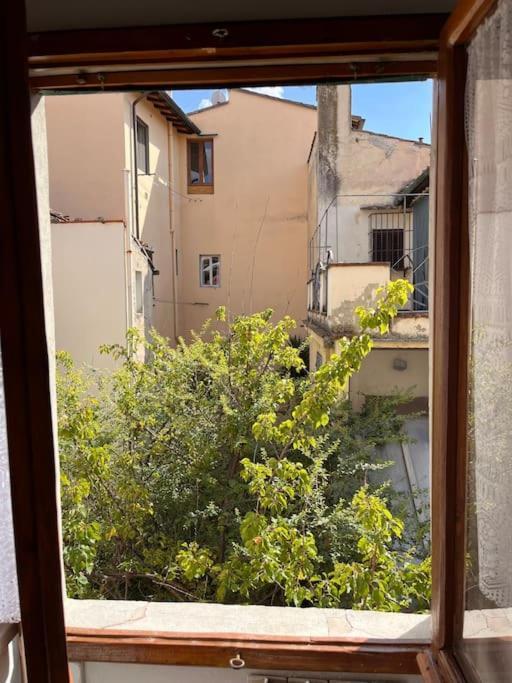 Appartamento Spacious Near Arno River Firenze