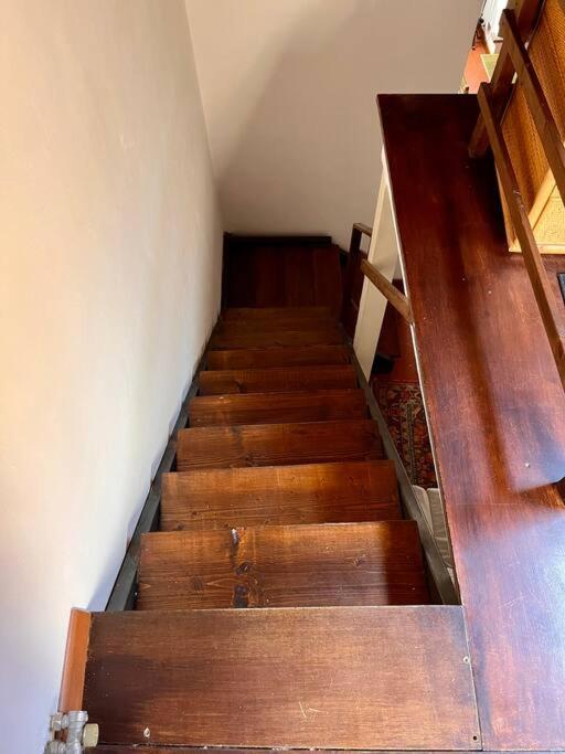 Spacious Near Arno River Appartamento *