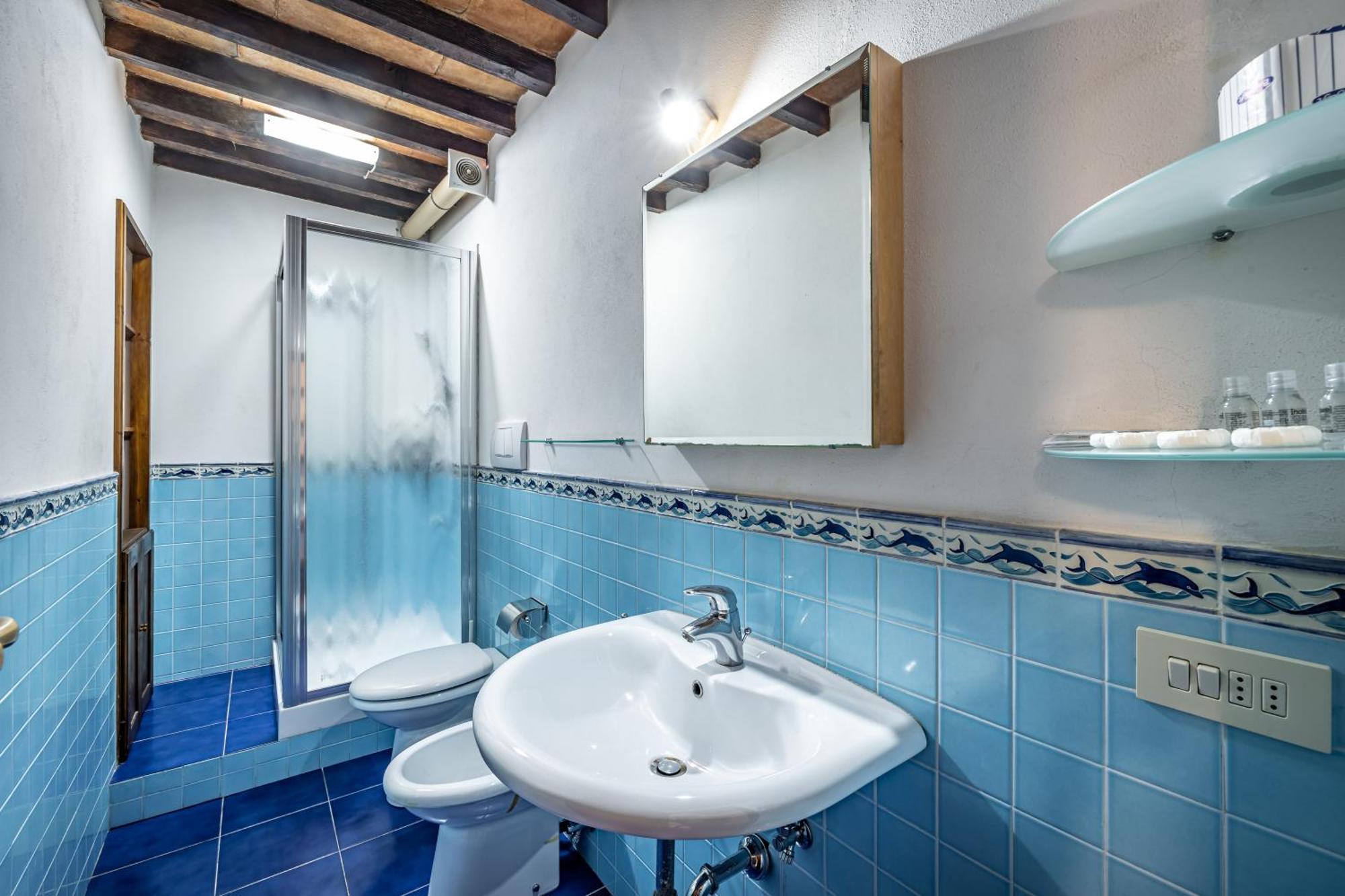 Appartamento Roommo Oltrarno *