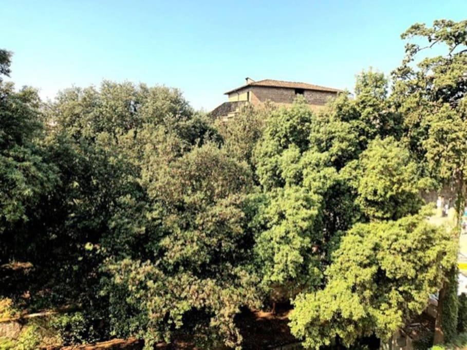 * * * * * Casa Vista Boboli Nel Cuore Di Appartamento