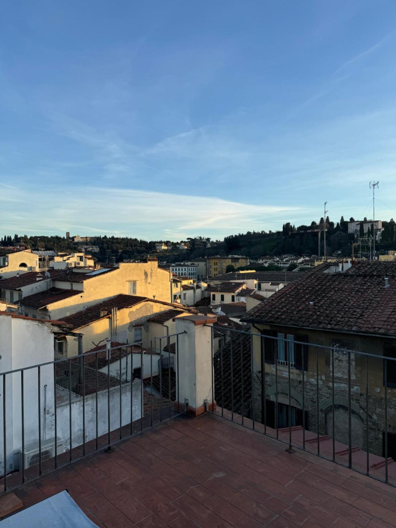 Apartment Panorama & Terrace Florence
