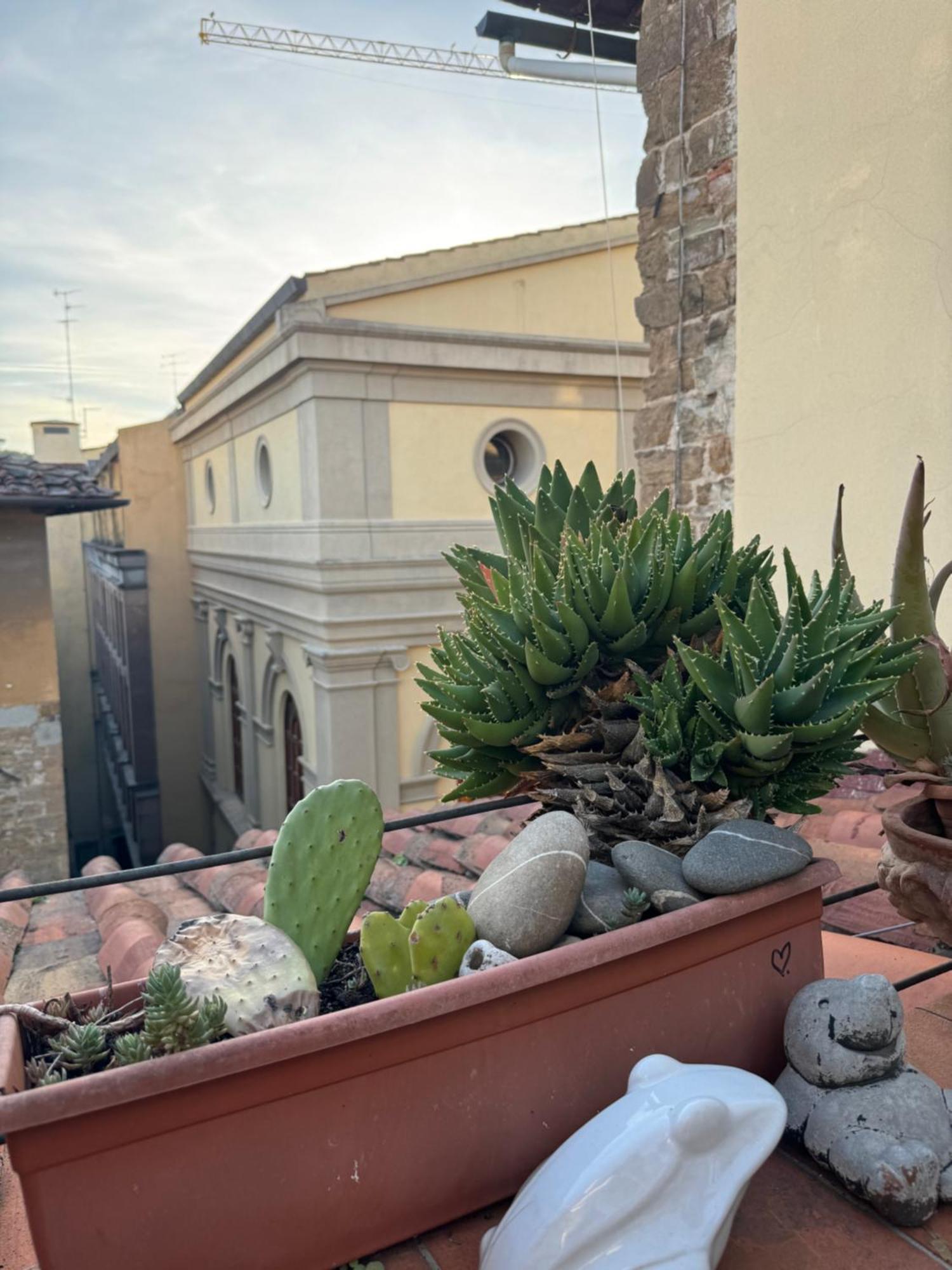 Panorama & Terrace