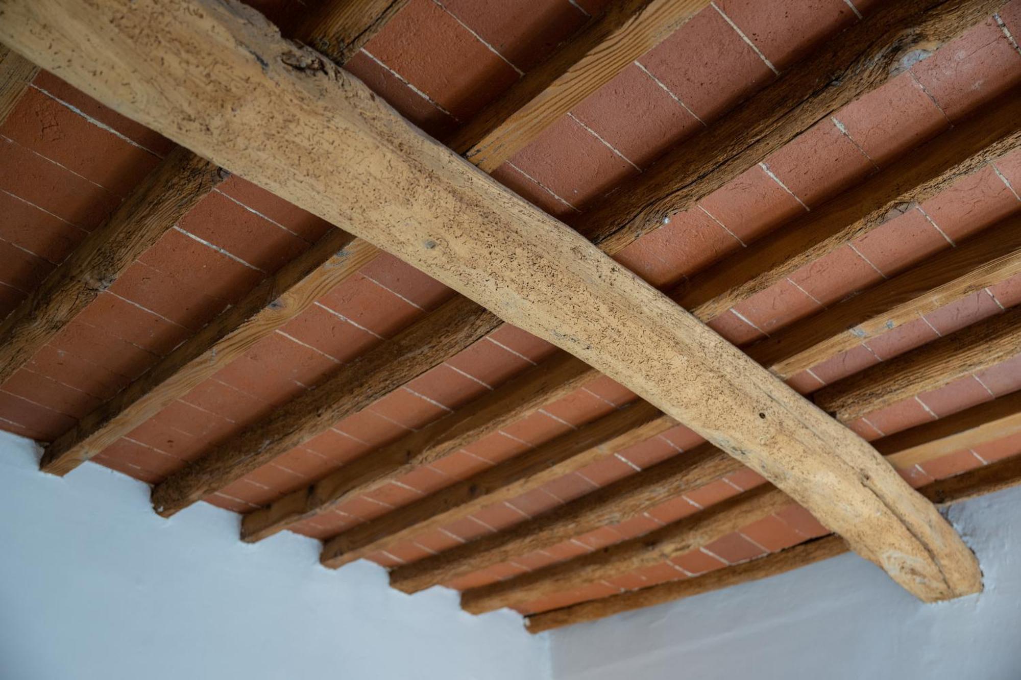 Apartment Tipica Cozy House + Parking! Florence