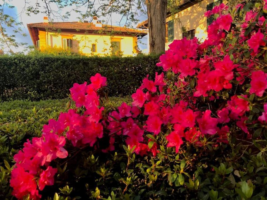 Apartment In Torre Di Antica Florence