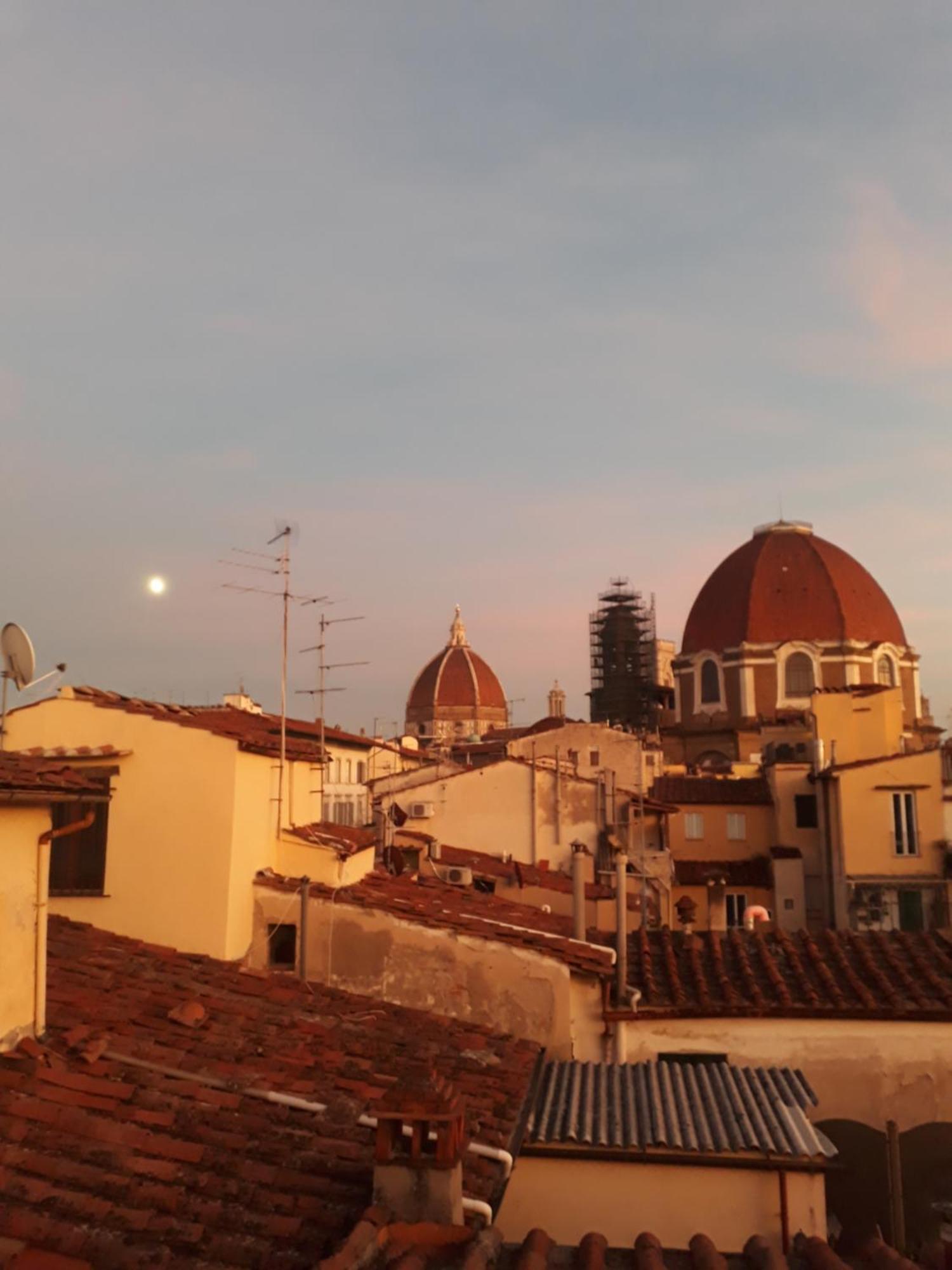 The Dream Terrace - Giulia Rose