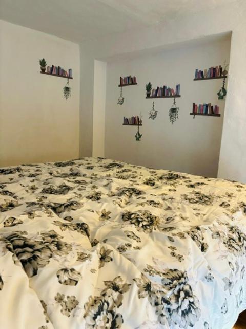Apartment Nuovo Signoria Careggi