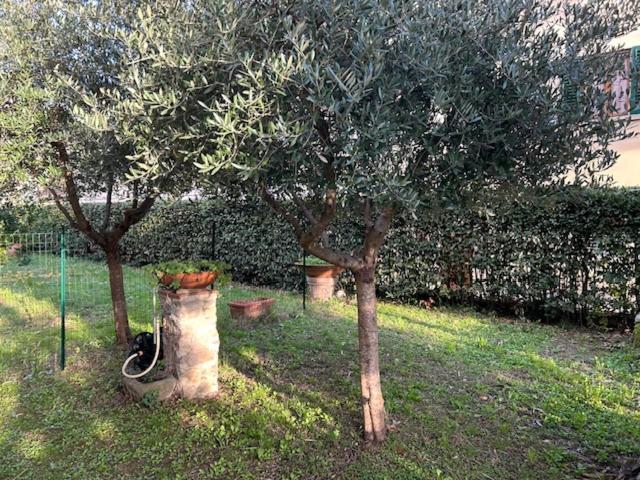 La Casa Di Claudia Casa vacanze Firenze