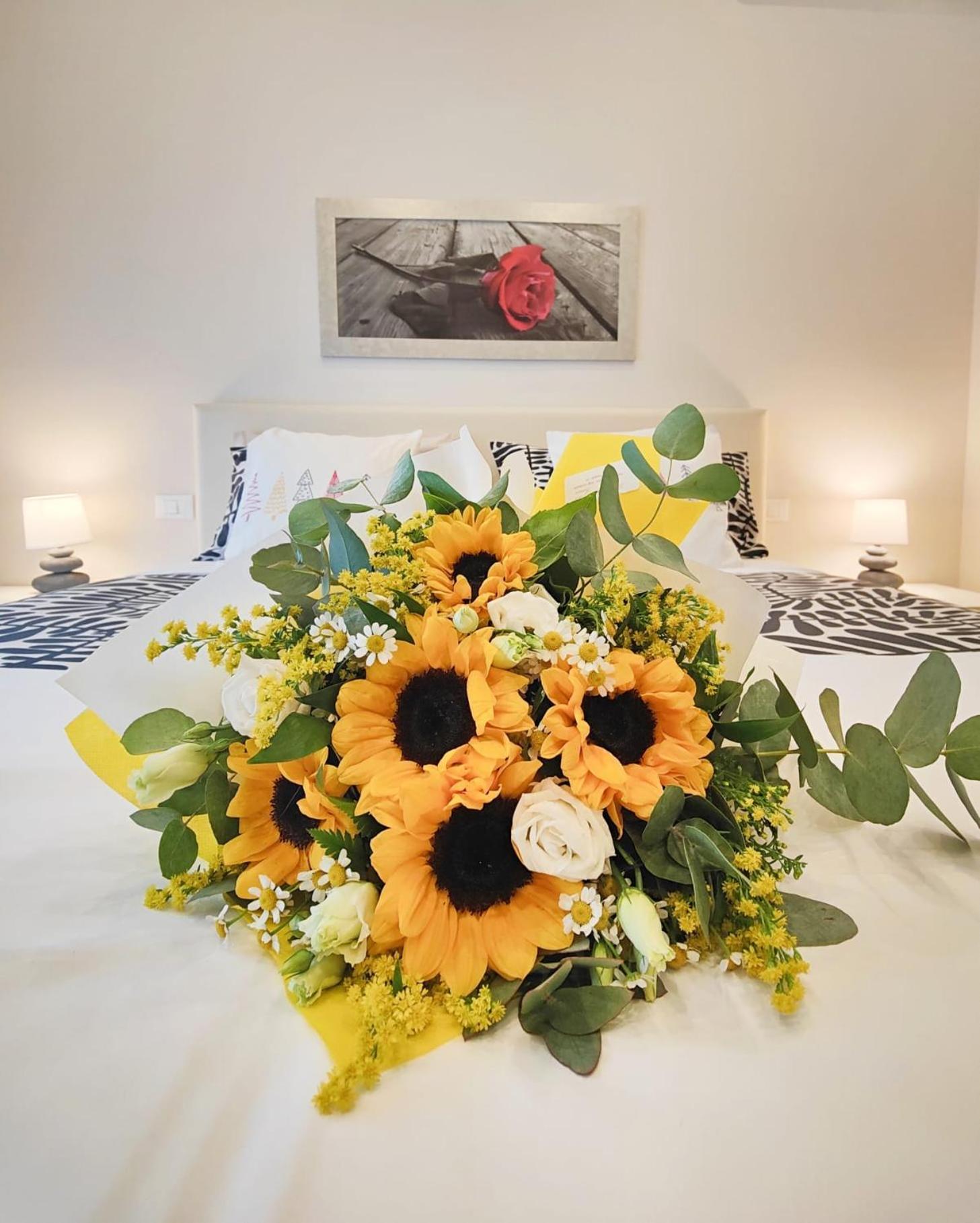 Bed & Breakfast Comfort