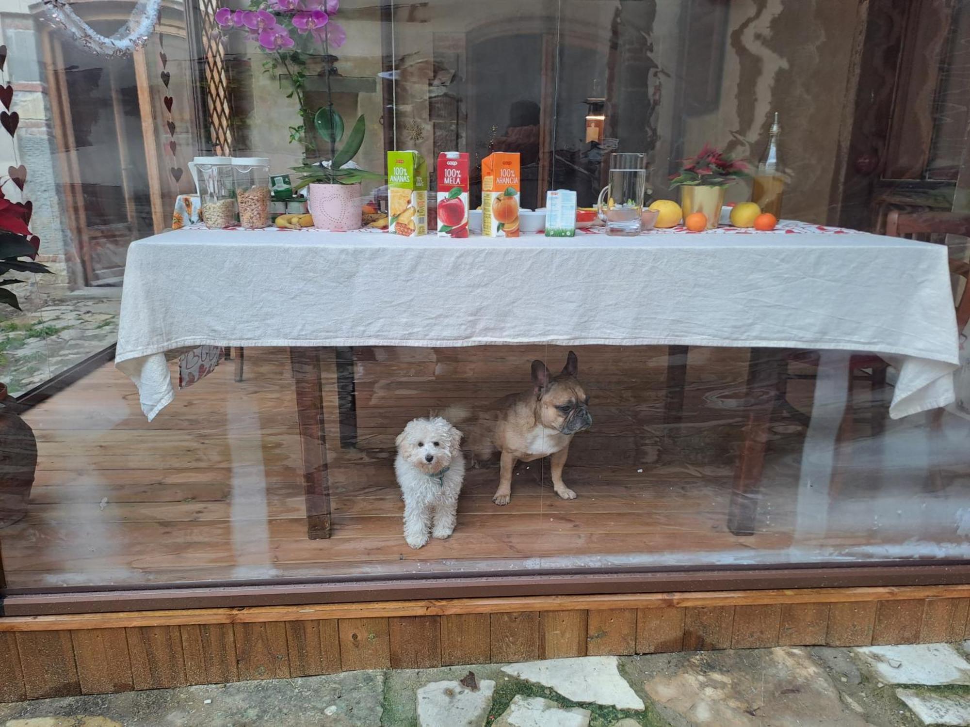 Homestay Sunshine Florence