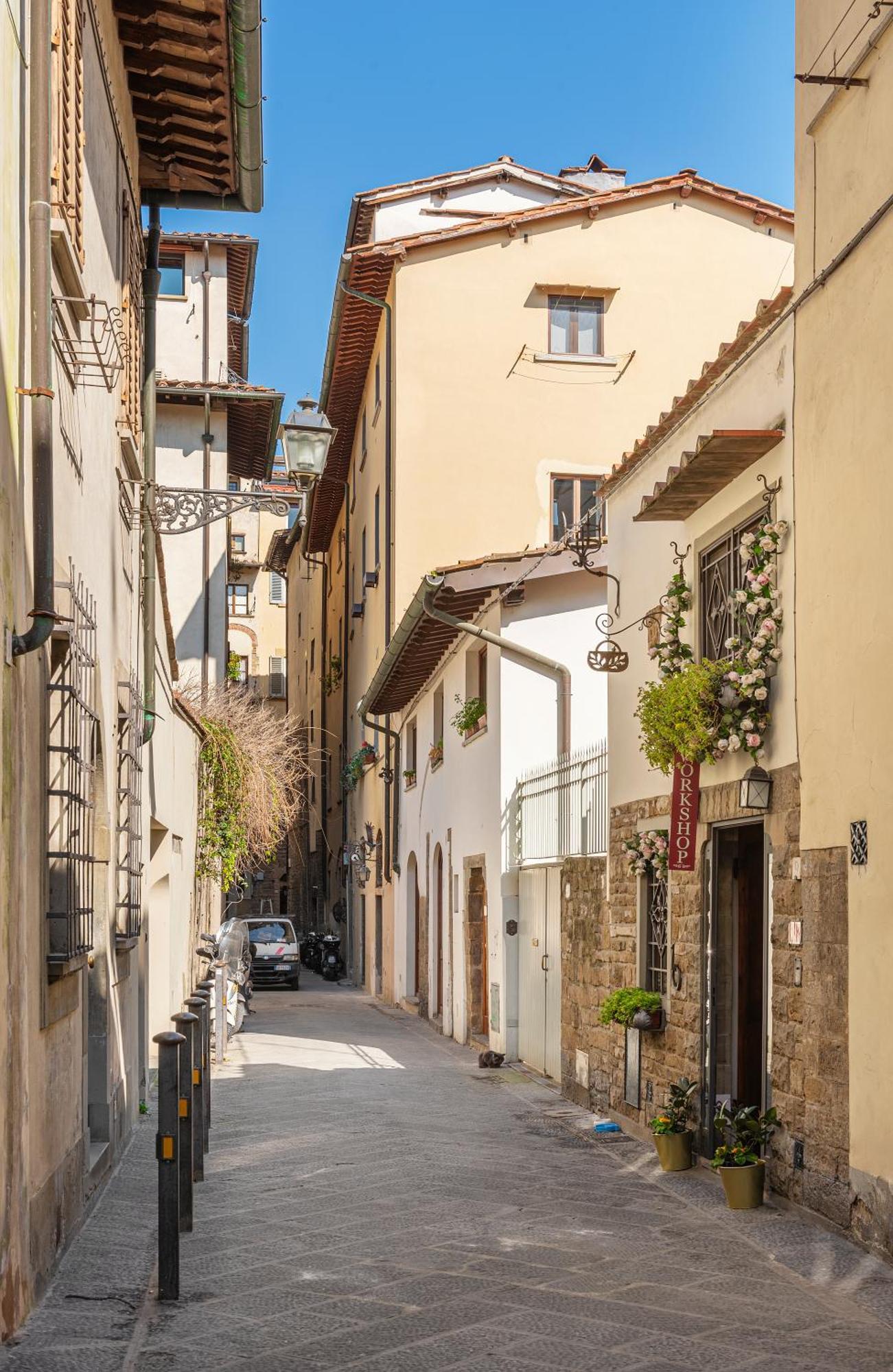 Bsj15-borgo San Jacopo Guest house Florence