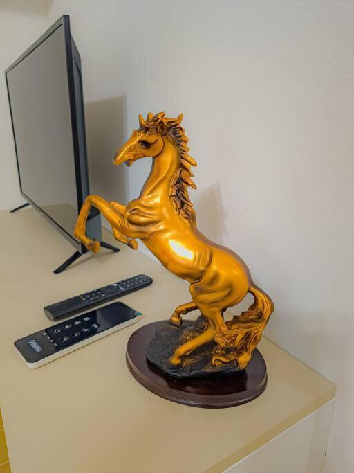 Bravo Horse Modern In *