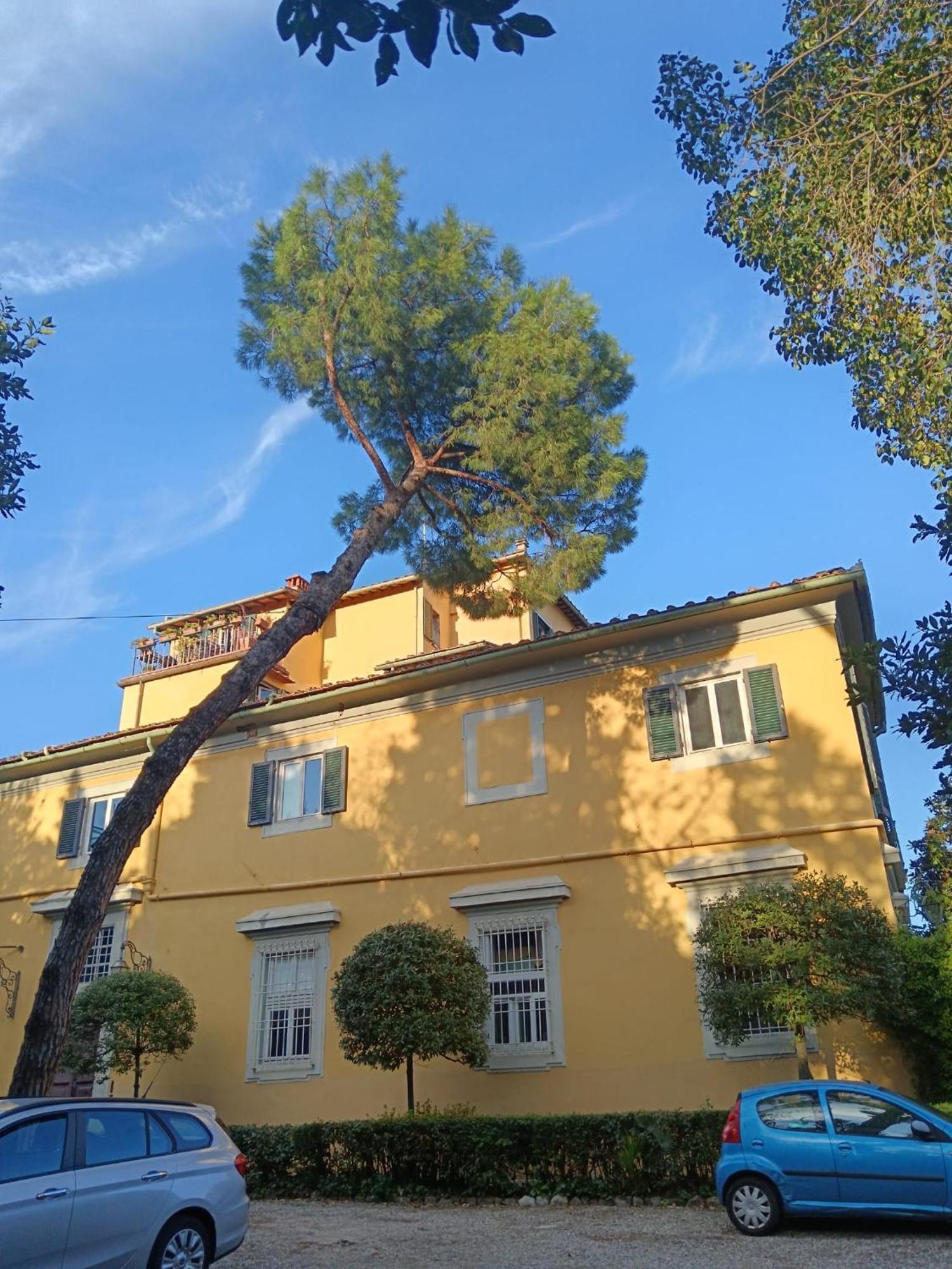 Residenza Storica In Palazzo Bruciato * Florence