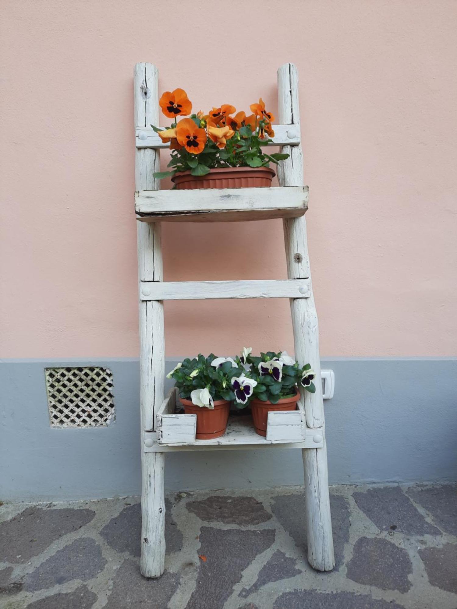 Apartment Messer Niccolo - In