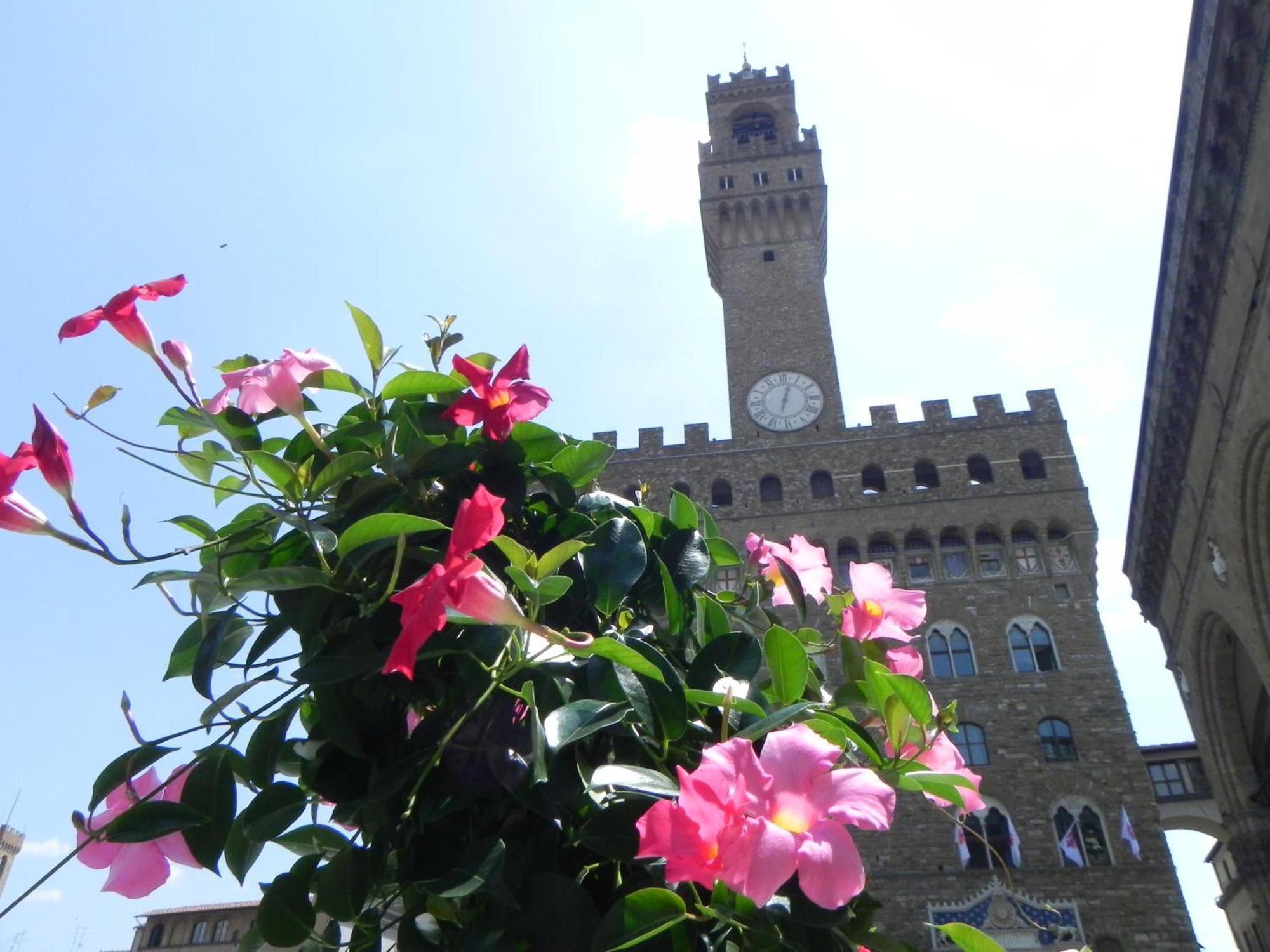 Appartamento Monolocale Gallo Firenze