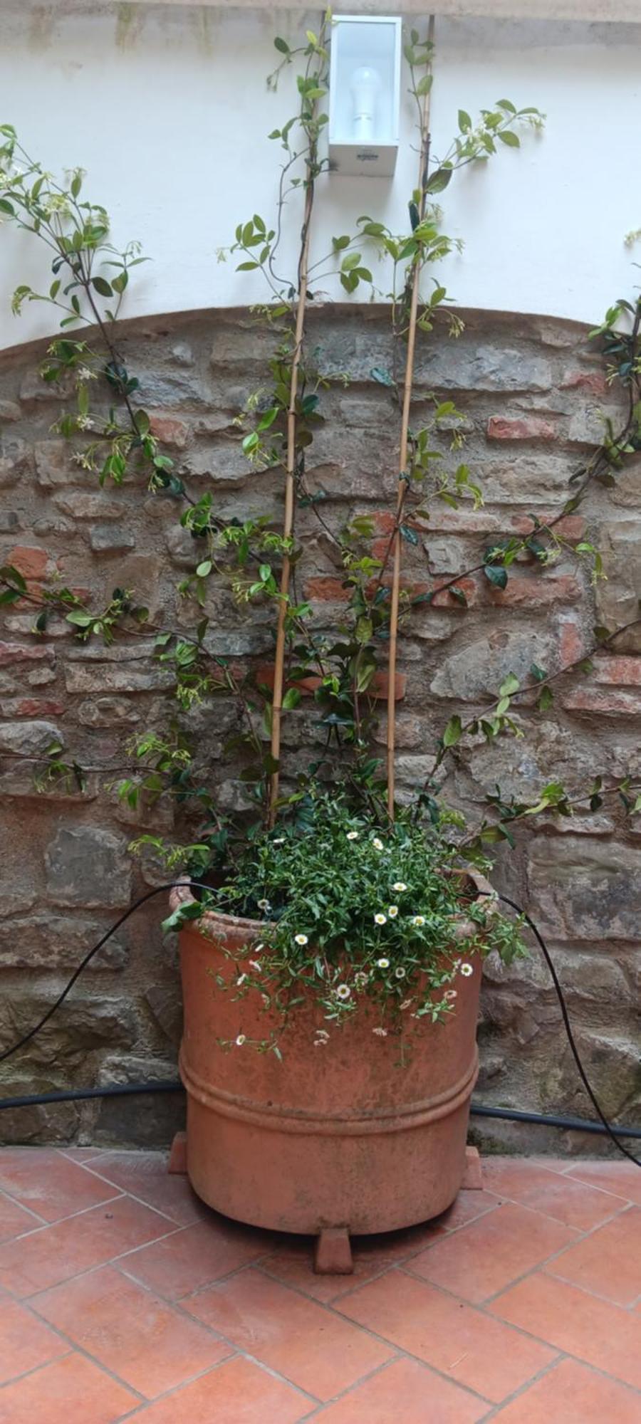 Casa Il Patio Florence