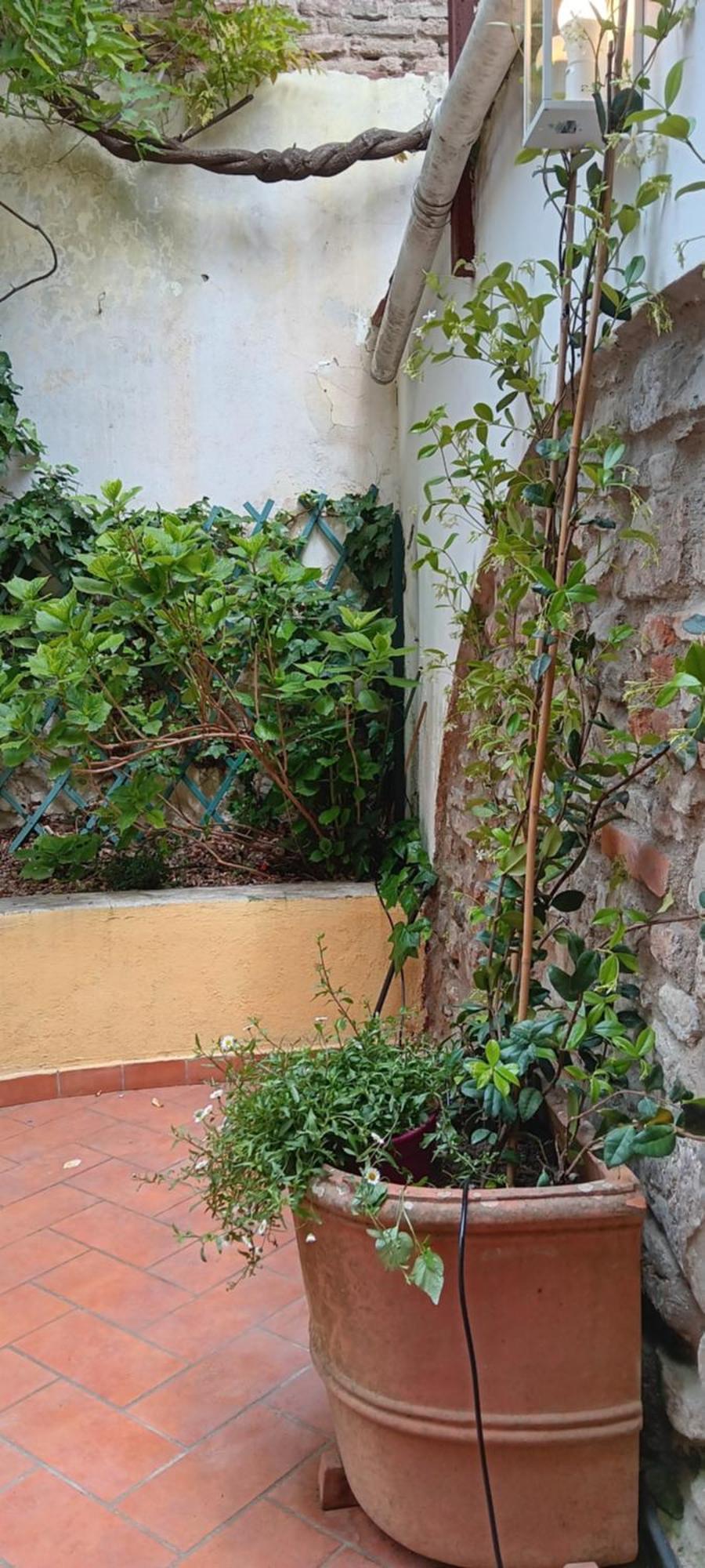 Apartment Casa Il Patio Florence