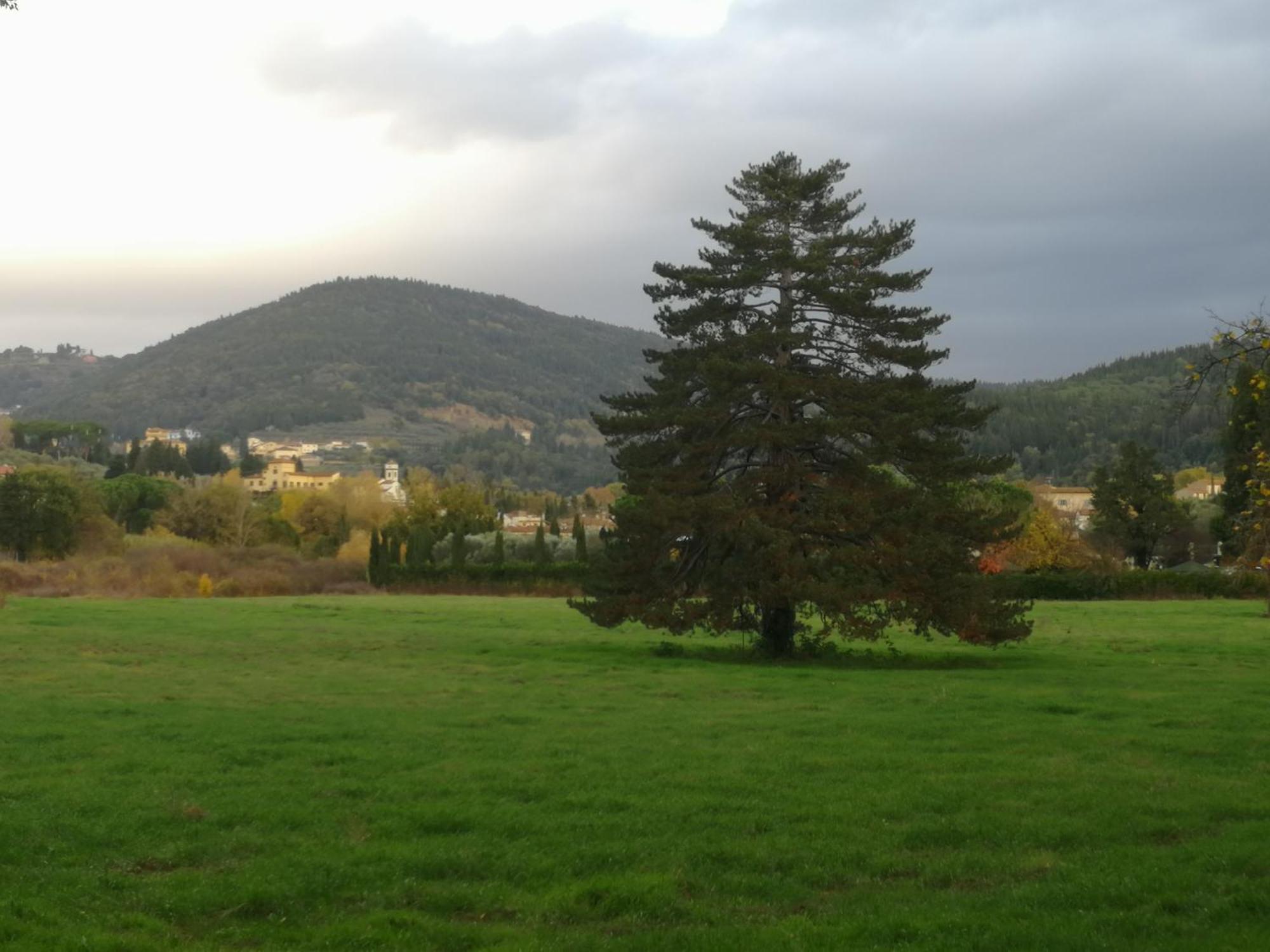 Open Space Nel Parco Con Parcheggio Gratuito Apartment *