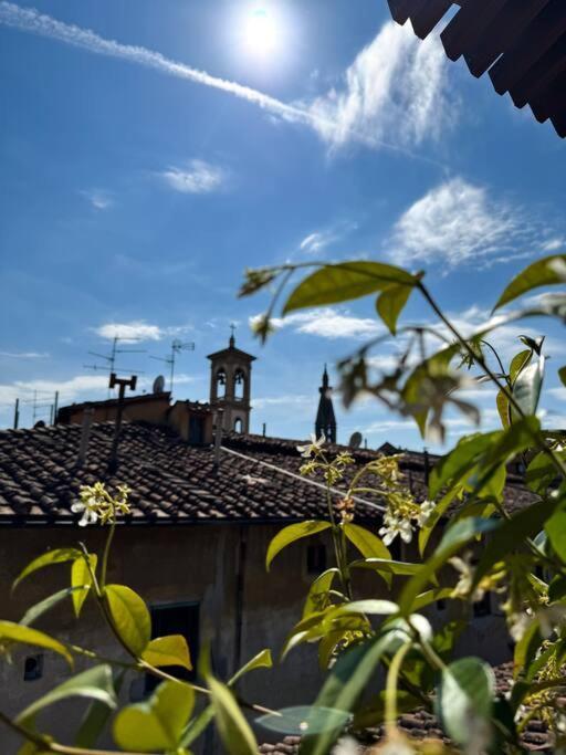 Green Rooftop Terrace Historical Center Apartment