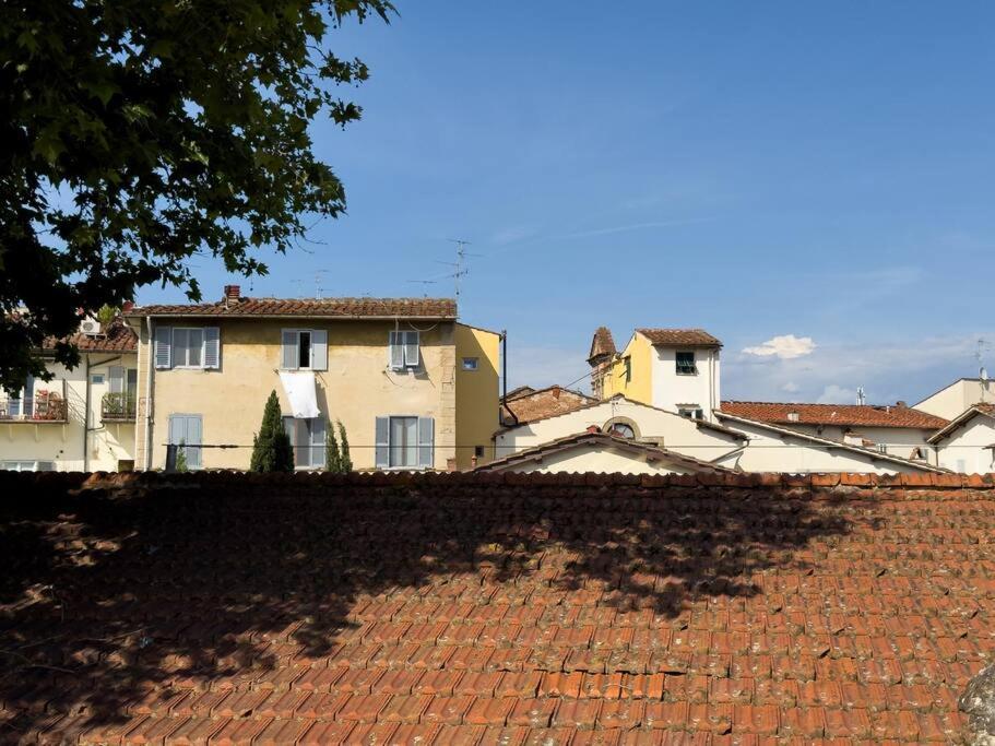 Green Rooftop Terrace Historical Center *